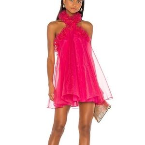 Lovers + Friends Pink Mini Dress